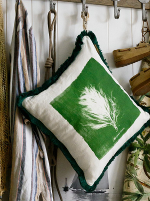 Algae Ii Pillow