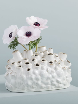 Ceramic Coral Vase