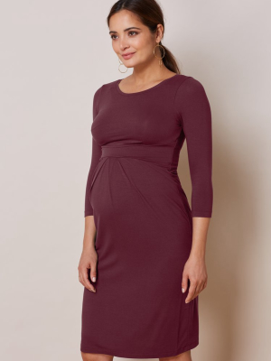 Ivybridge Maternity Dress