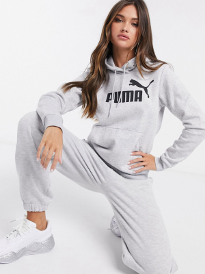 Puma Essentials Hoodie In Gray