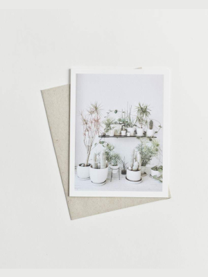 Potted Plants Card