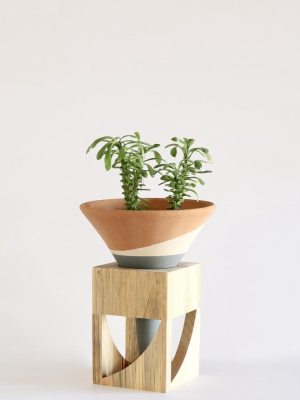 Terracotta Colorblock Cone Pot On Wooden Stand