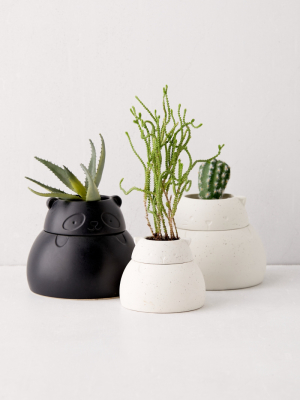 Hideaway Panda Storage Planter