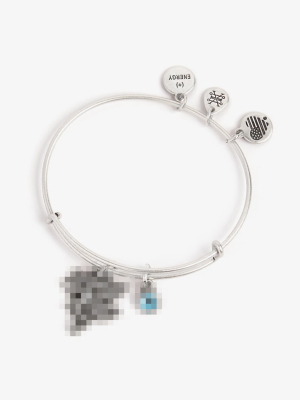 Harry Potter™ Pixie Charm Bangle