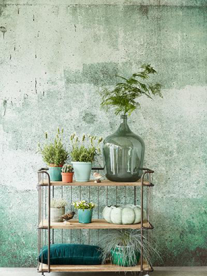 Green Weathered Wall Mural By Eijffinger For Brewster Home Fashions