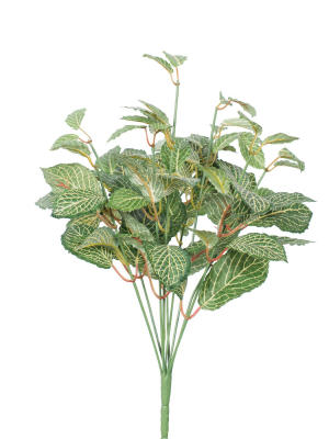 Vickerman 17" Artificial Green Fittonia Bush.