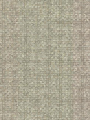 Token Wallpaper In Greige From The Urban Oasis Collection By York Wallcoverings