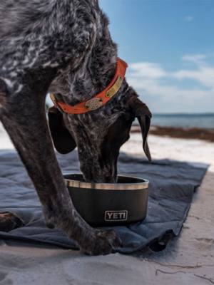 Yeti Dog Bowl, Black