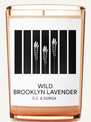 Wild Brooklyn Lavender