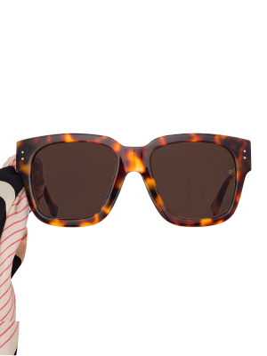 The Amber | D-frame Sunglasses In Tortoiseshell (c2)