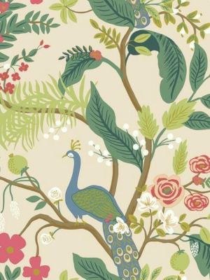 Peacock Wallpaper In Light Pink From The Rifle Paper Co. Collection By York Wallcoverings