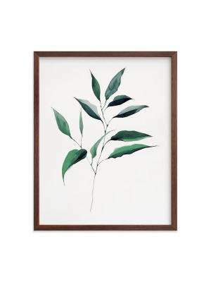 Minted For West Elm - Magnolia Foliage