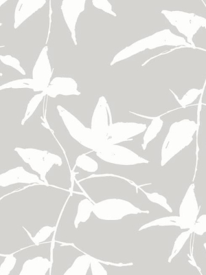 Persimmon Leaf Wallpaper In Grey From The Tea Garden Collection By Ronald Redding For York Wallcoverings