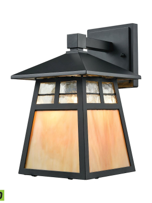 Cottage 1-light Outdoor Wall Lamp In Matte Black - Includes Led Bulb