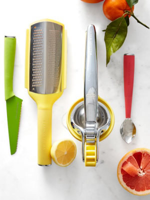 Williams Sonoma Citrus Press