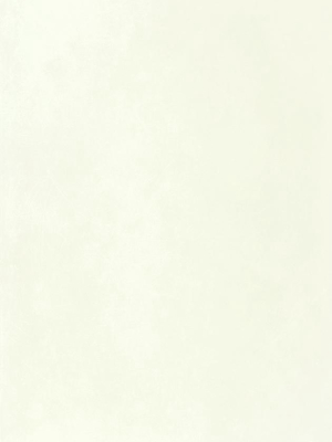 Chantilly Lace