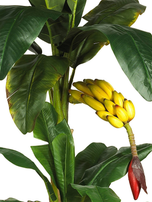 Nearly Natural Triple Stalk Banana Silk Tree (6")