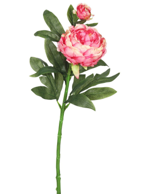 Artificial (pk/3) Peony Stem Pink - Vickerman