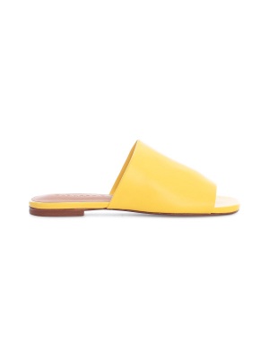 Clergerie Open-toe Slip-on Mules