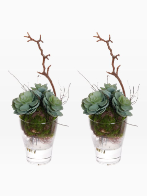 Faux Succulents In Vase (set Of 2) - Green