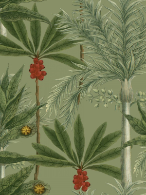 Madagascar Wallpaper In Green From The Wallpaper Compendium Collection By Mind The Gap