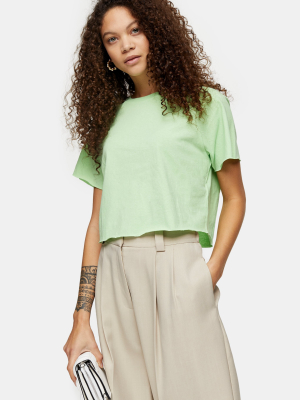 Petite Light Green Raglan Crop T-shirt