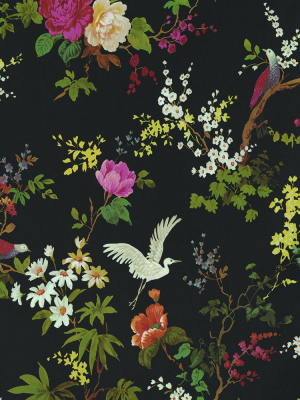 Dreamy Vintage Birds And Floral Wallpaper In Black By Walls Republic
