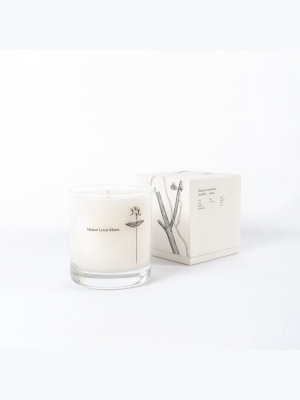 Antidris Cassis Candle