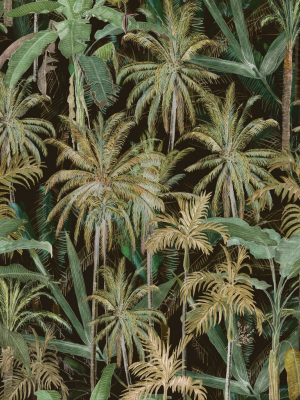 The Jungle Wallpaper In Anthracite From The Wallpaper Compendium Collection By Mind The Gap