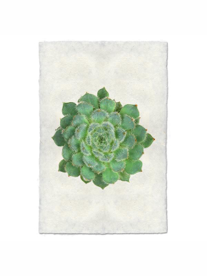 Succulent Print #5