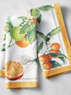 Citron Towels, Set Of 2