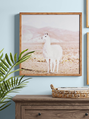 24" X 24" Llama Framed Wall Art Brown - Threshold™