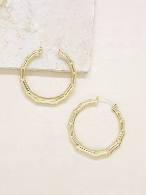 Bamboo 18kt Gold Plated Hoop Earrings