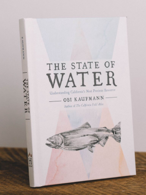 The State Of Water || Obi Kaufmann