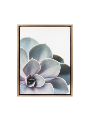 Succulents Framed Canvas Art Gold (24"x18") - Uniek