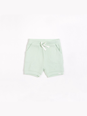 Mint Modal Rib Shorts