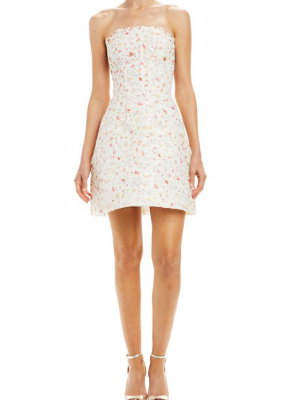 Printed Floral Lace Cocktail Dress