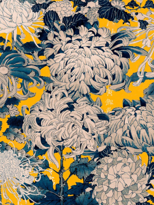 Chrysanthemums Wallpaper In Yellow And Blue From The Florilegium Collection By Mind The Gap.