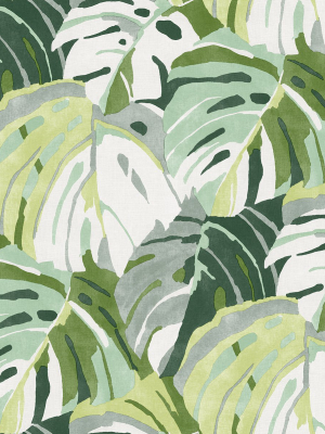 Samara Monstera Leaf Wallpaper In Green From The Pacifica Collection By Brewster Home Fashions