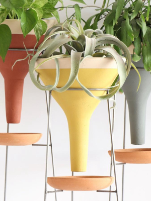 Colorblock Funnel Pot Trio