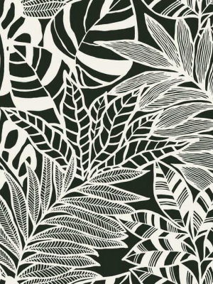 Jungle Leaves Wallpaper In Black And White From The Silhouettes Collection By York Wallcoverings