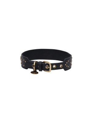 Studded Dog Collar Solid Black