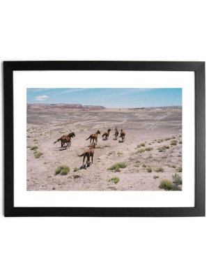 Wild Horses In The Kaibab Plateau - Limited Edition Photograph