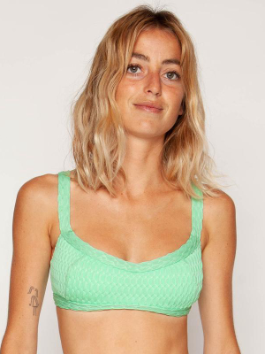 Flor Bikini Top In Yerba