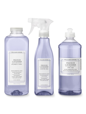Williams Sonoma French Lavender Cleaning Set