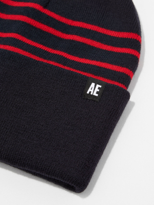 Aeo Striped Workwear Beanie