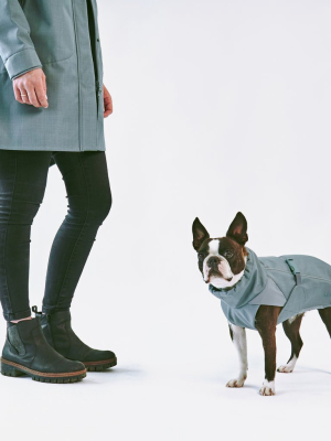 Sofia Softshell Dog Coat