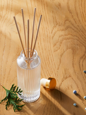 4.06 Fl Oz Glass Reed Cypress & Juniper Holiday Diffuser - Threshold™ Designed With Studio Mcgee