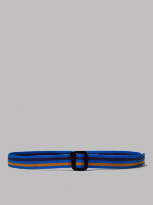 Patagonia Friction Belt (fitz Roy Bel Stripe / Andes Blue)