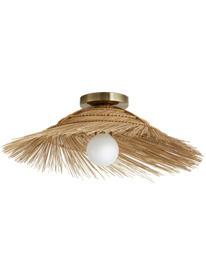 Hayes Wall / Ceiling Light